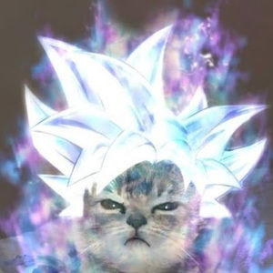 Meet your Posher, Frida